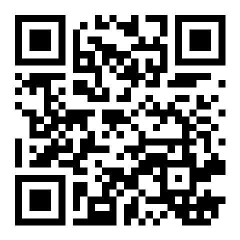 QR-Code zum Demo-Meldeformular